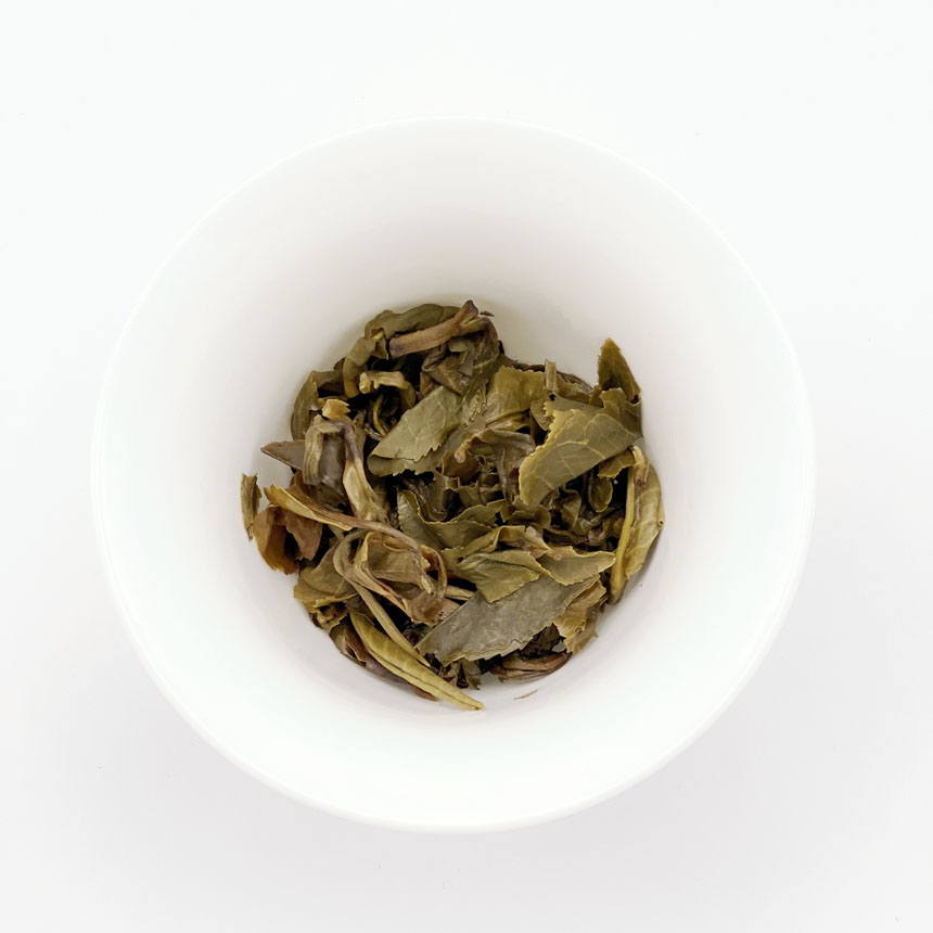 Jazmín Perla de Dragón 茉莉龙珠 - Imagen 3